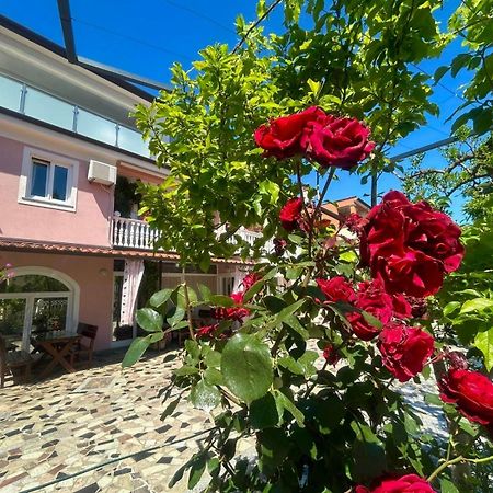 Apartments Tereza Novigrad Istria Exteriör bild